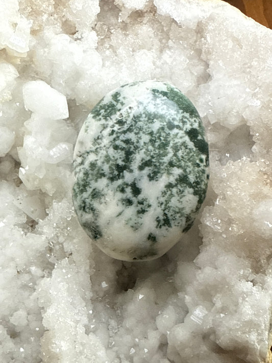 Tree Agate Comfort Stone